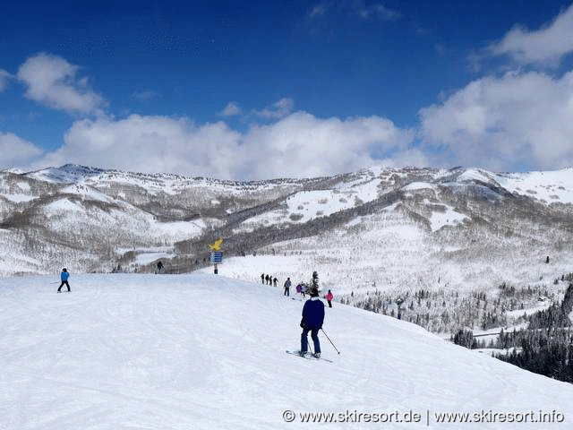 Piste map for Solitude FindSkiHolidays com - Www.skiresort.de Www.skiresort.info C1cc3b35a9 456c494b92a78695e0b0c405614246ab