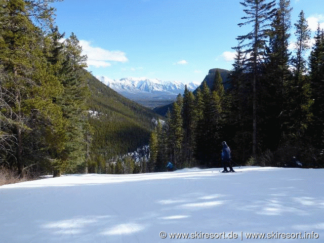 Mount Norquay Guest Services