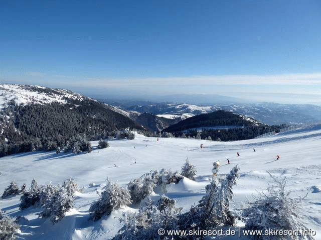 Kopaonik