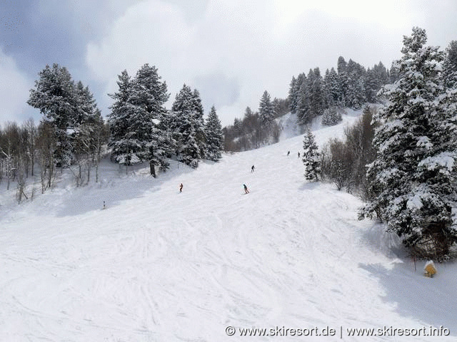 Snowbasin Resort Day Ticket