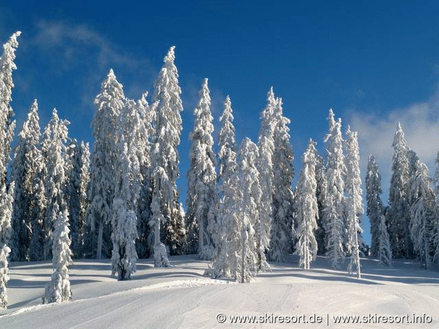 Skipasspreise monte popolo Eben