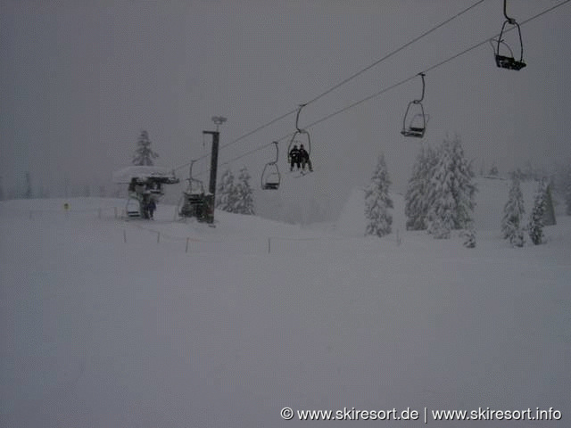 Timberline