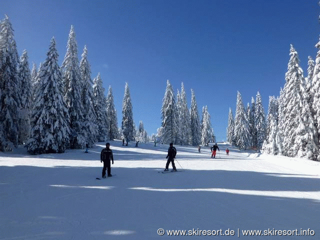 Tageskarte Liftverbund Feldberg