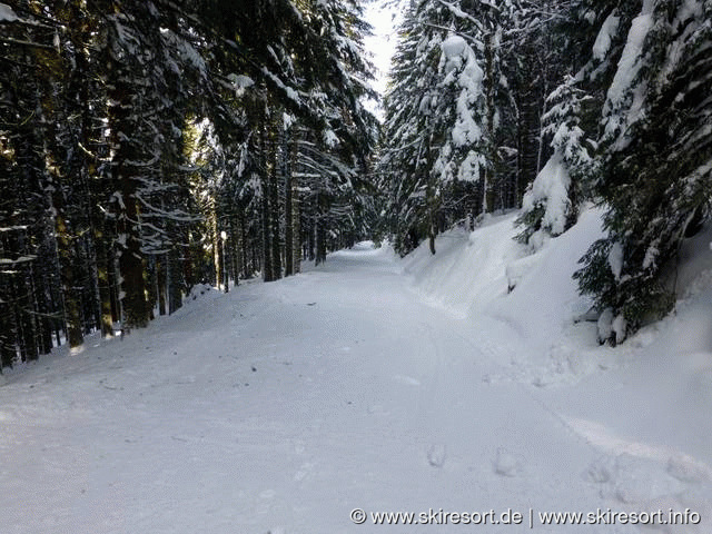Schwarzenbachlift – Altglashütten
