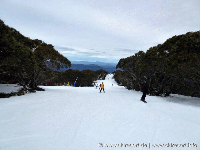 Mount Buller