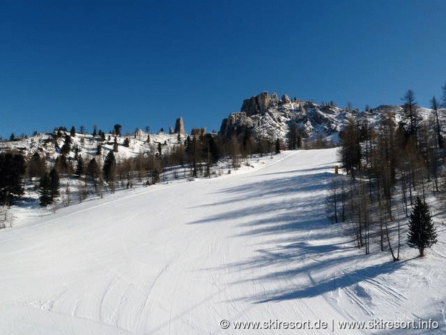 Cortina