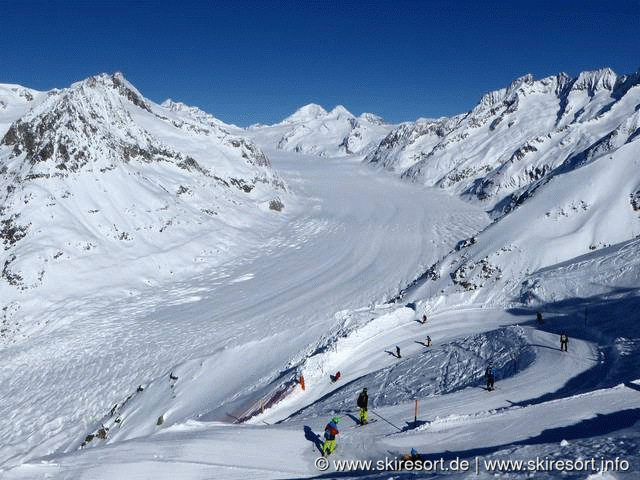 Skipass Aletsch Arena